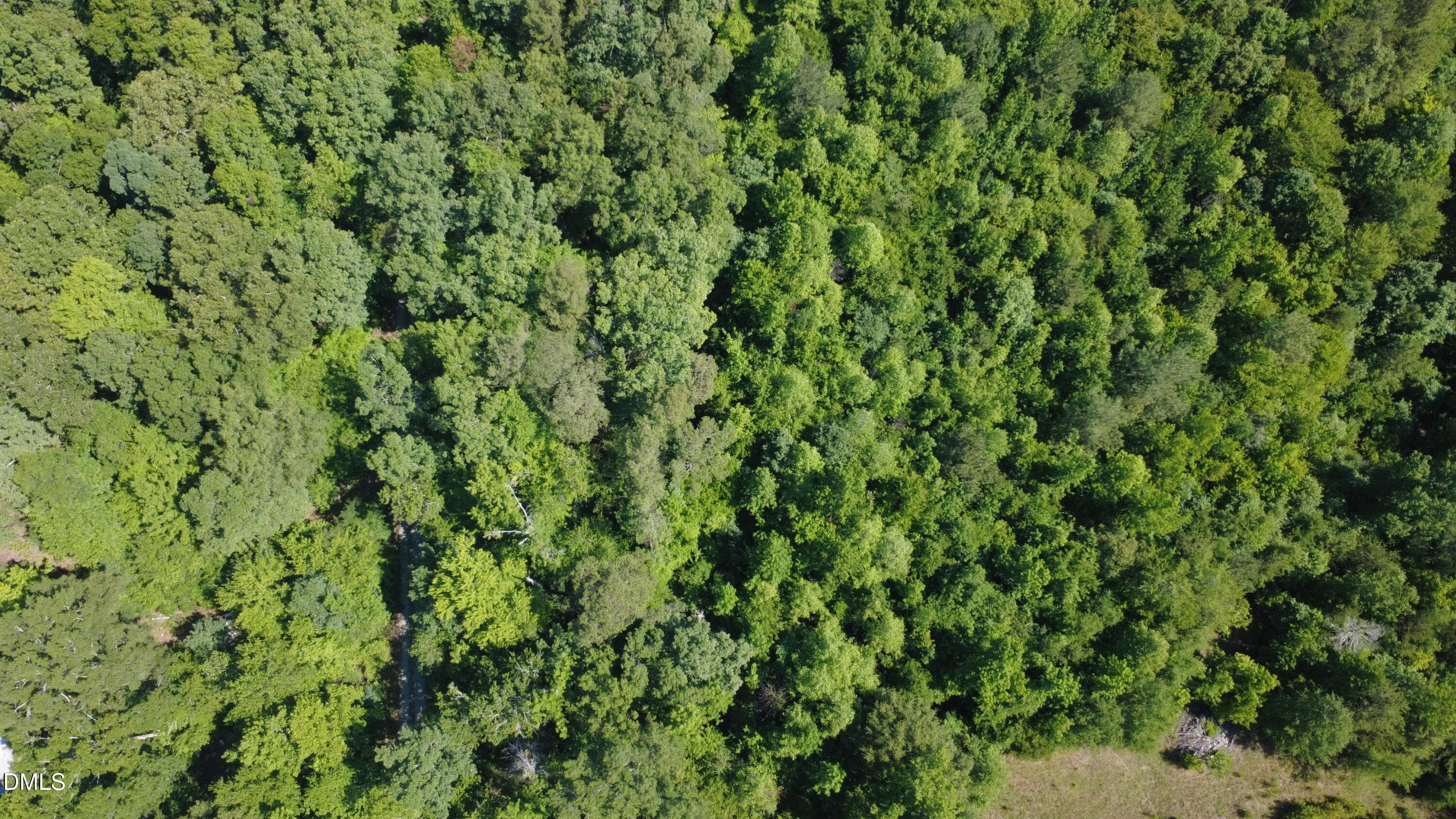 timberlake nc - 0 Weldon Painter Road, Timberlake, NC 27583