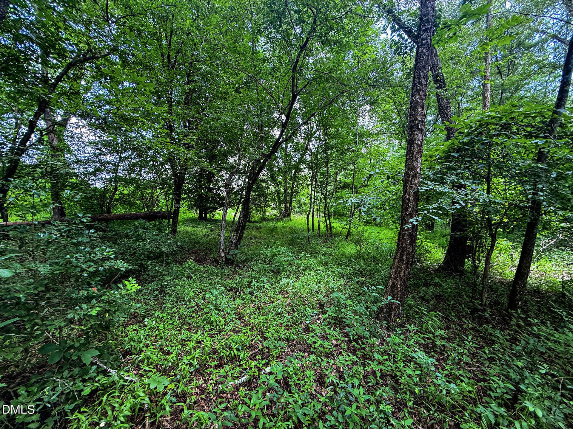 29 - 147 Hood Loop Road, Henderson, NC 27537