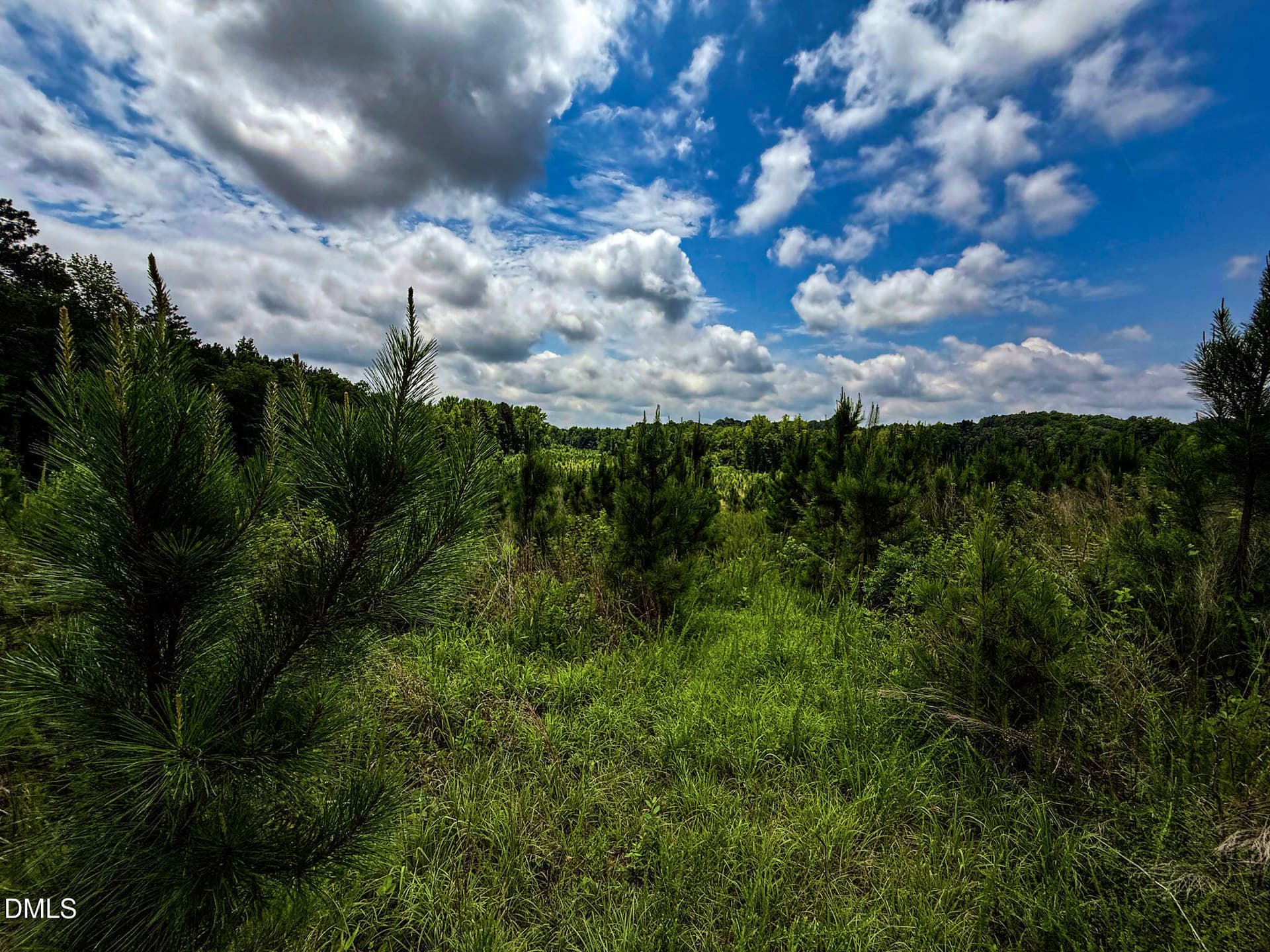 30 - 147 Hood Loop Road, Henderson, NC 27537