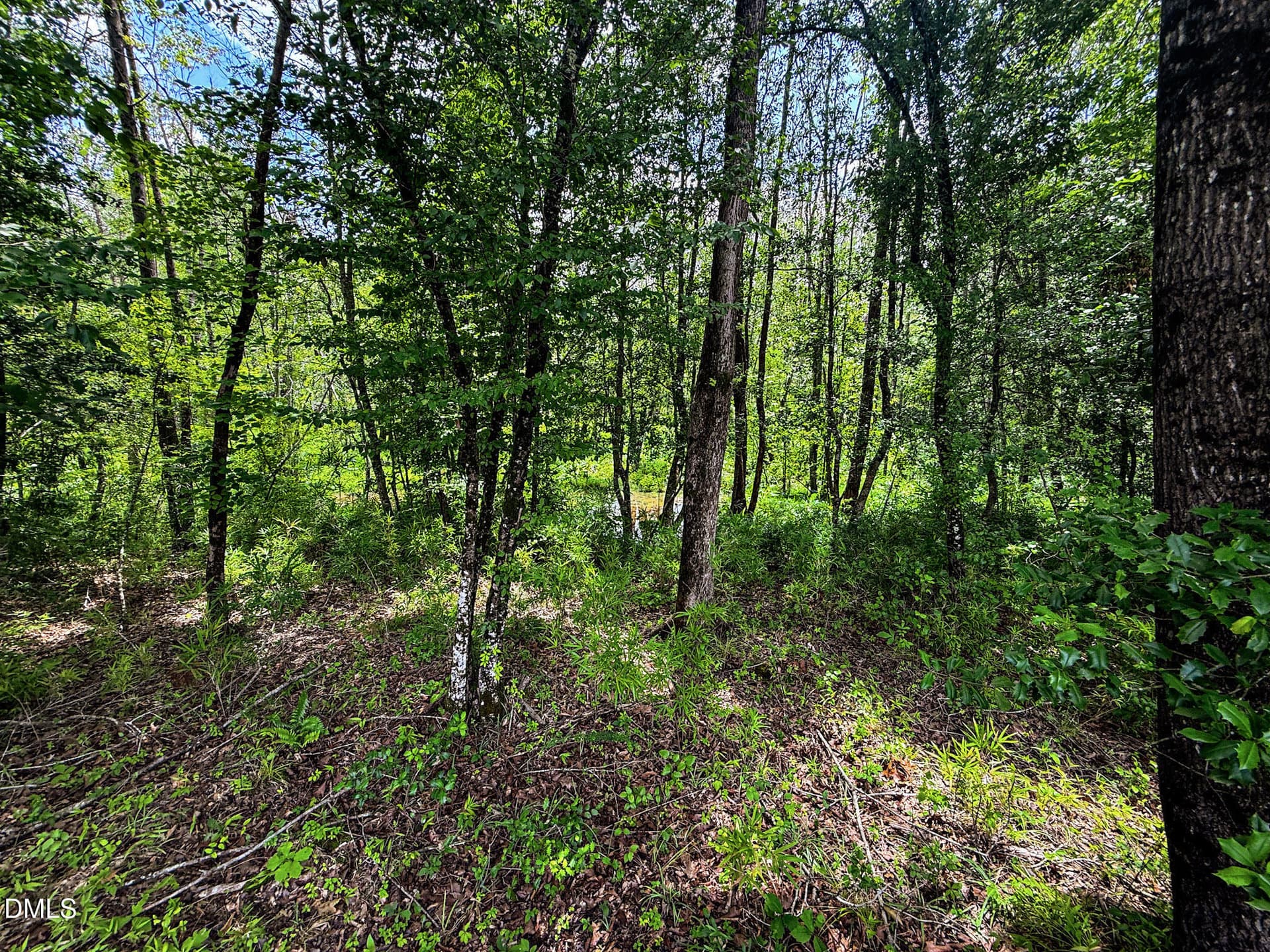 31 - 147 Hood Loop Road, Henderson, NC 27537