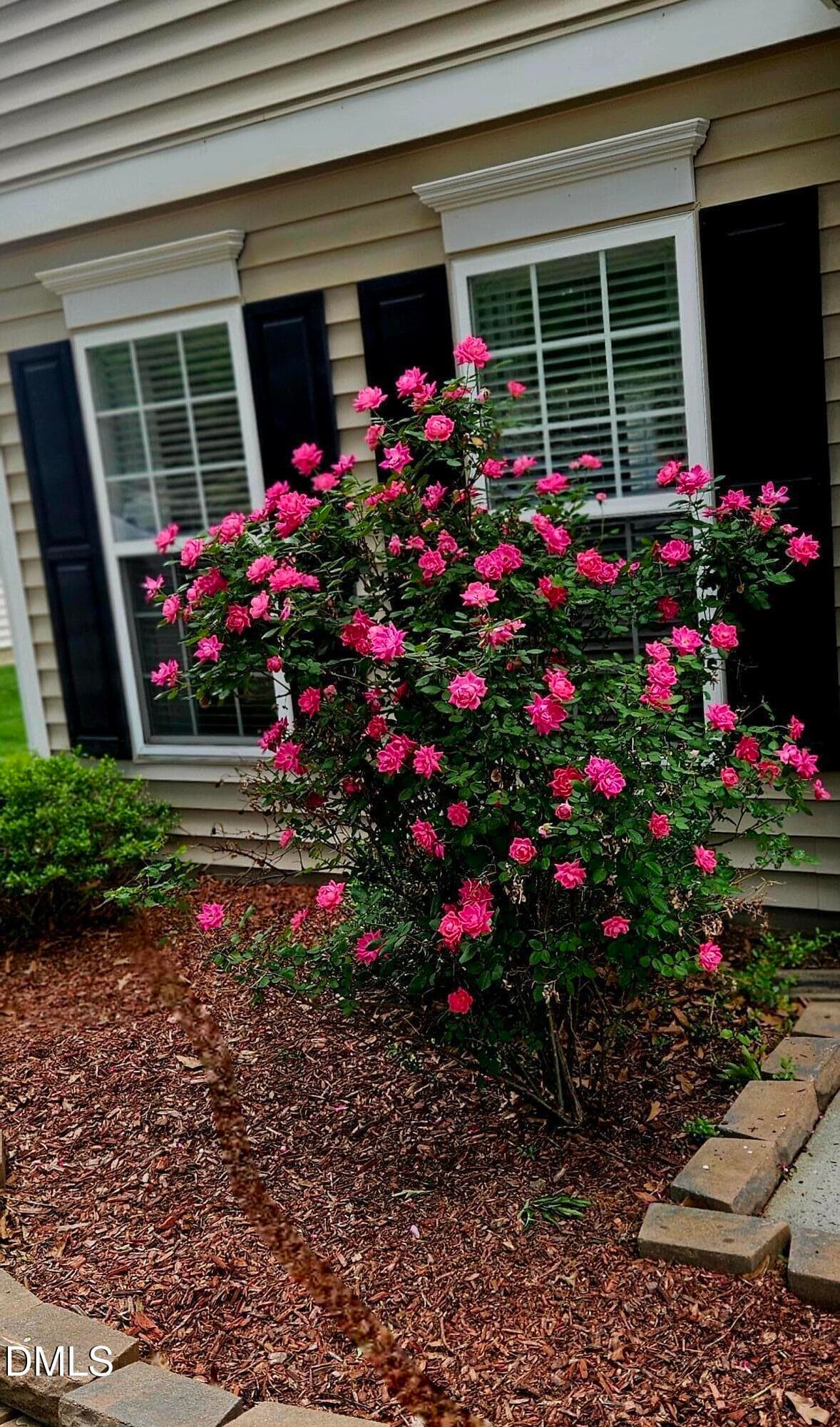 05 - 1804 Cedar Grove Drive, Durham, NC 27703