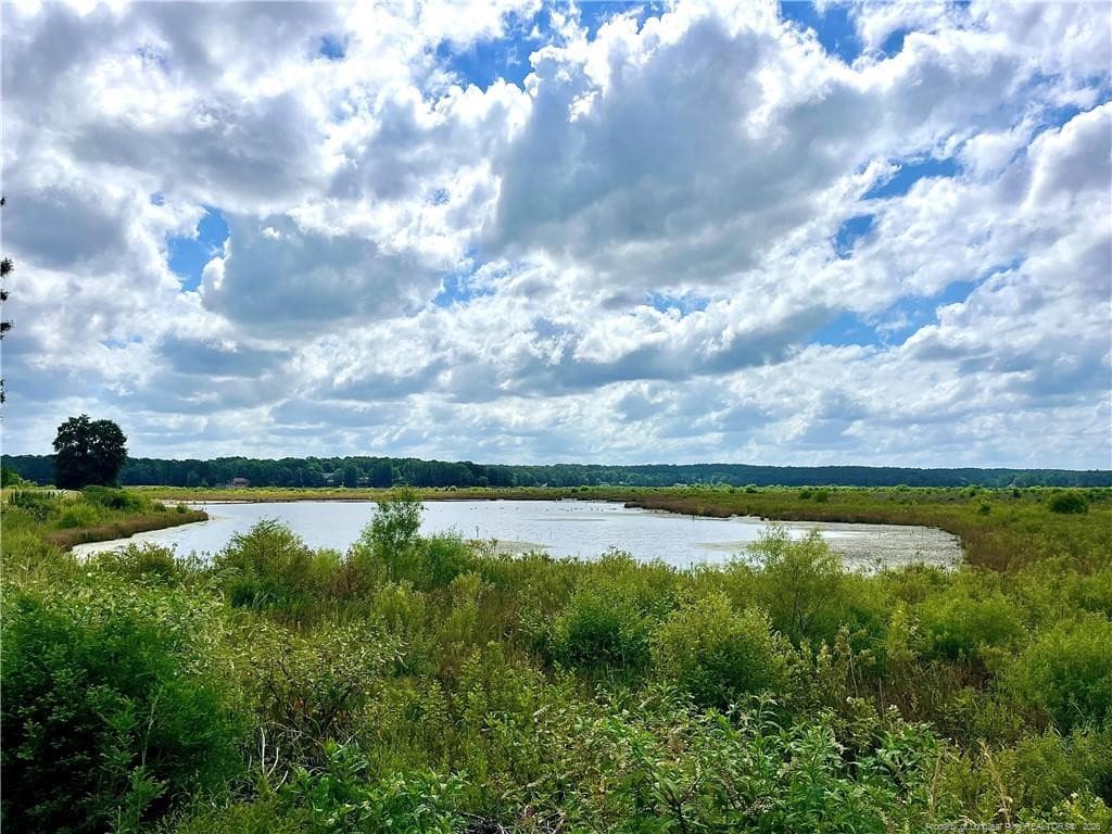 Photo 17 - 730 Blue Bird Drive, Vass, NC 28394