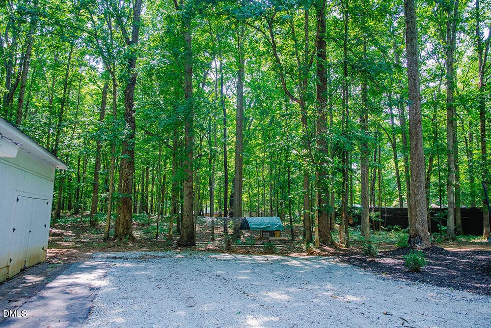 R25 copy - 194 Robert Whitfield Road, Hurdle Mills, NC 27541