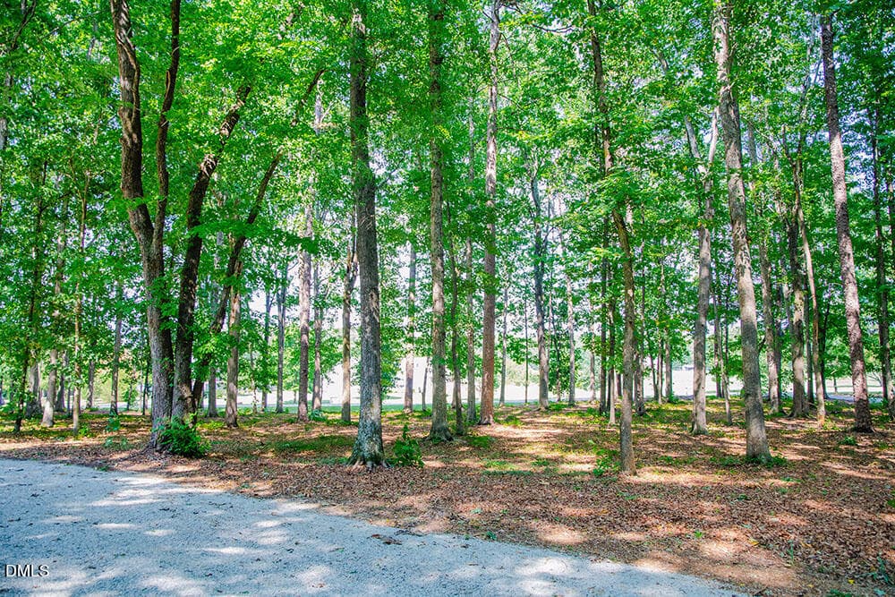 R32 copy - 194 Robert Whitfield Road, Hurdle Mills, NC 27541