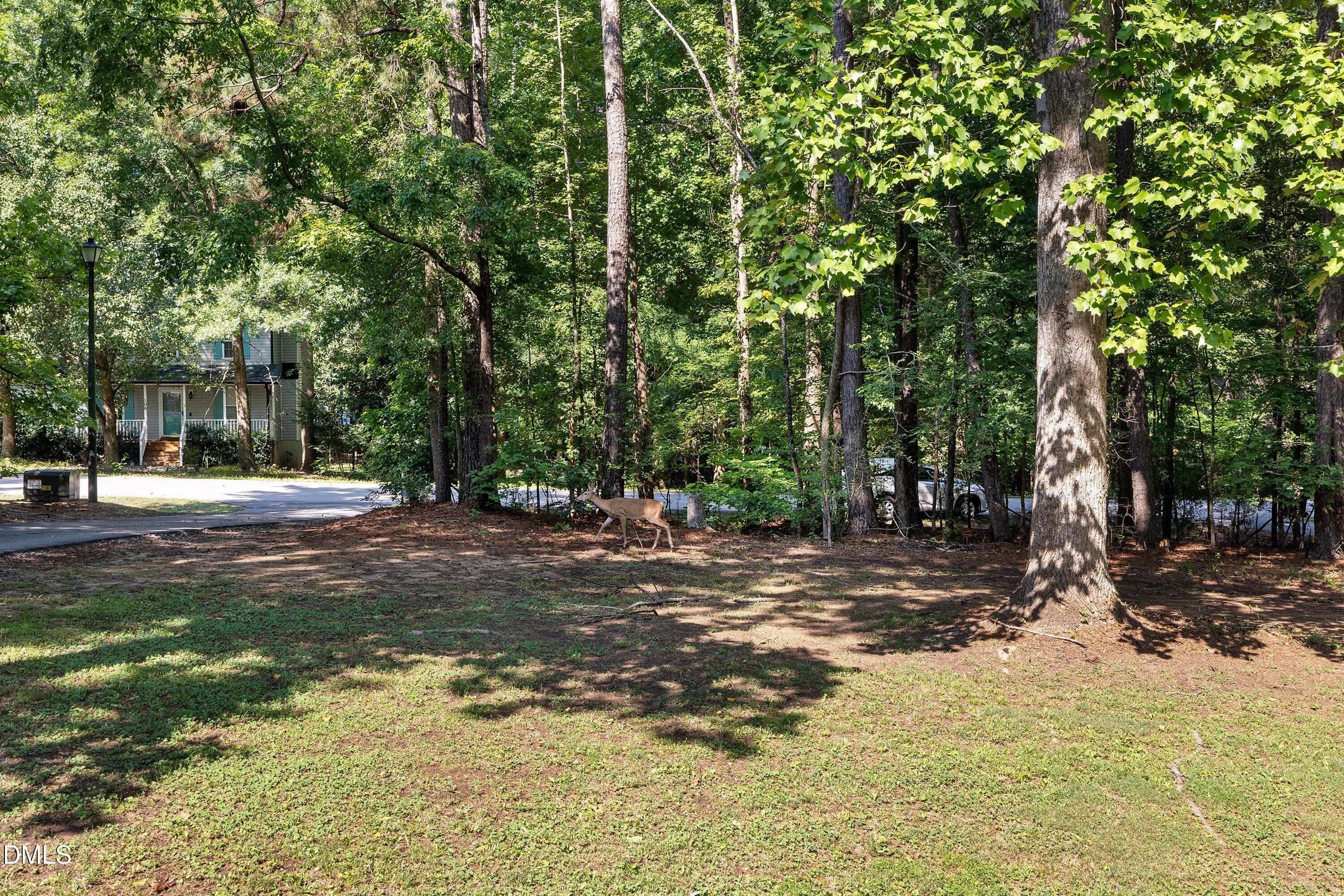 38-112 Waiters Way_8865 - 112 Waiters Way, Youngsville, NC 27596, Youngsville