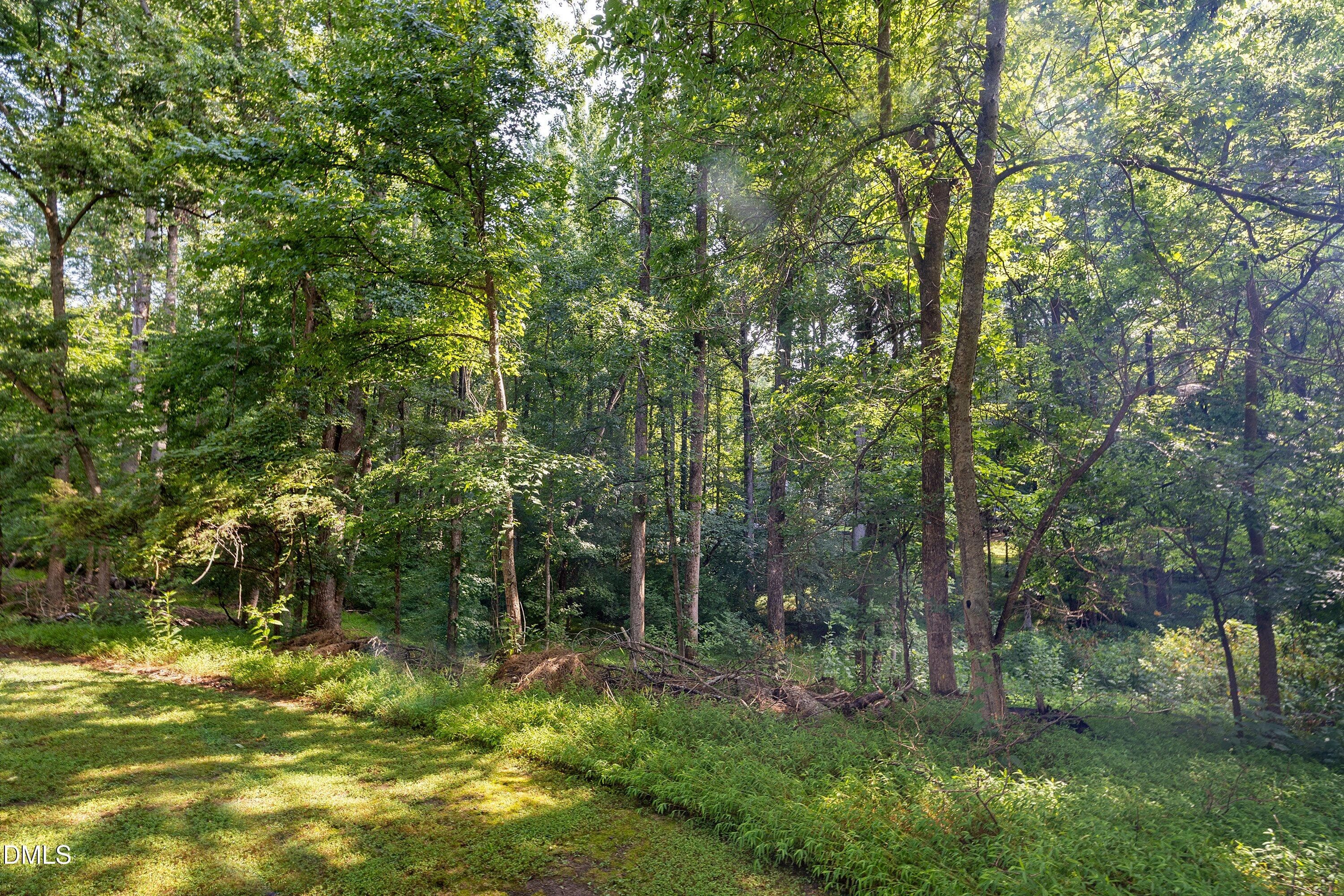 41-112 Waiters Way_8657 - 112 Waiters Way, Youngsville, NC 27596, Youngsville
