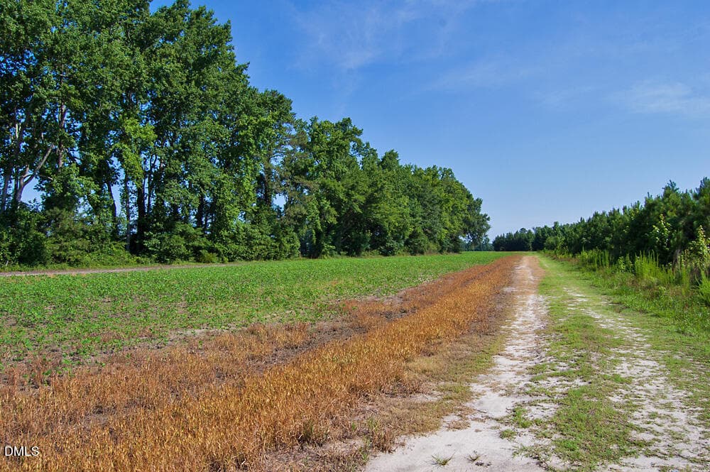 DSC_0997 - 0 Nc Highway 33, Tarboro, NC 27886