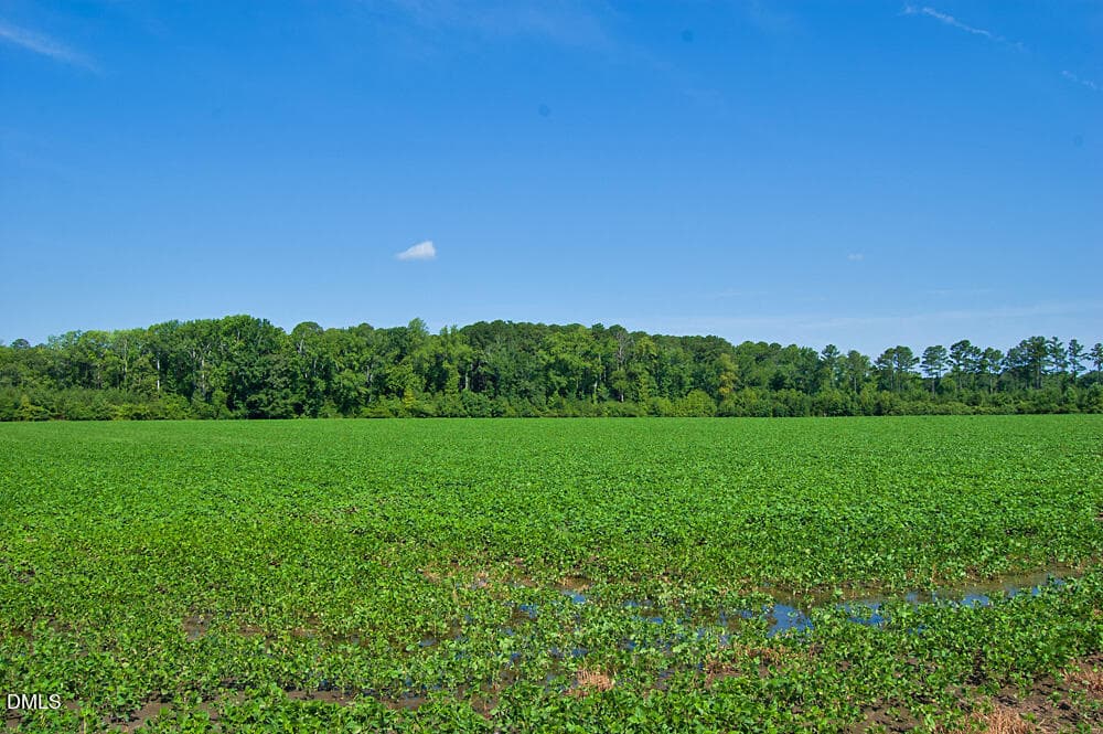 DSC_1011 - 0 Nc Highway 33, Tarboro, NC 27886