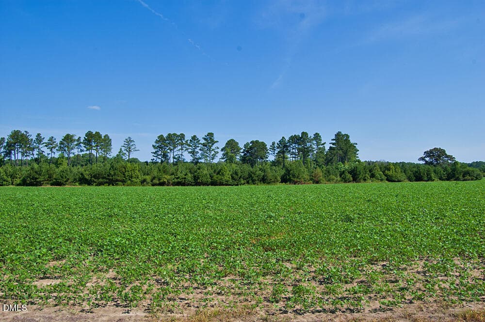 DSC_1014 - 0 Nc Highway 33, Tarboro, NC 27886