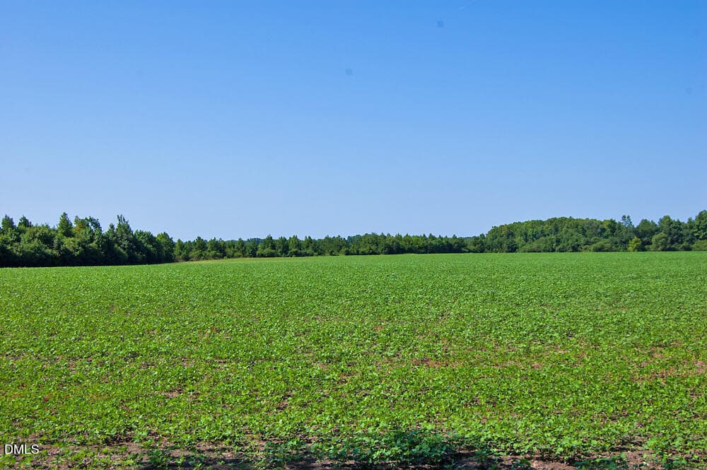 DSC_1017 - 0 Nc Highway 33, Tarboro, NC 27886