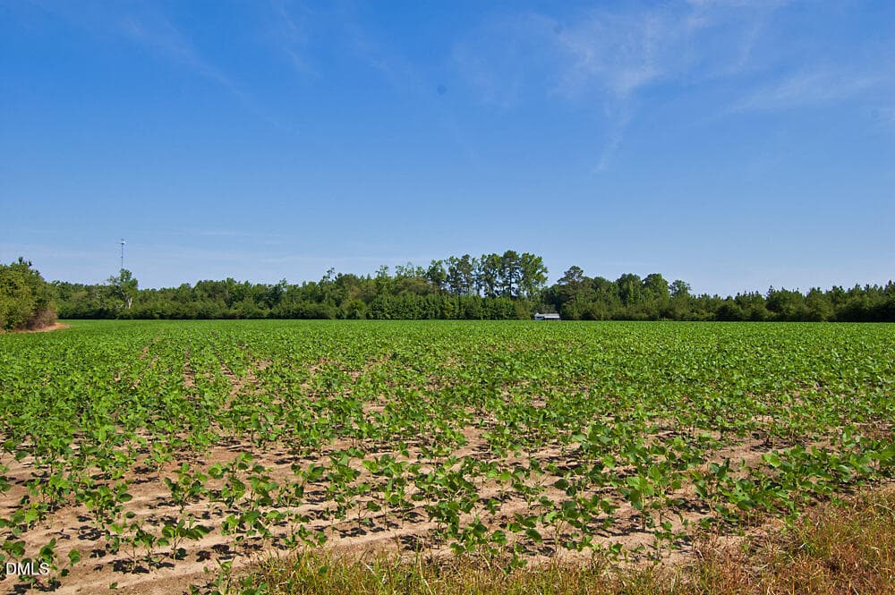 DSC_0996 - 1 Nc Highway 33, Tarboro, NC 27886