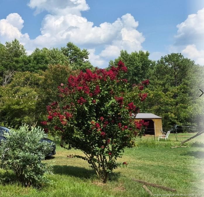 Photo 3 - 1011 Sweet Raspberry Lane, Lillington, NC 27546