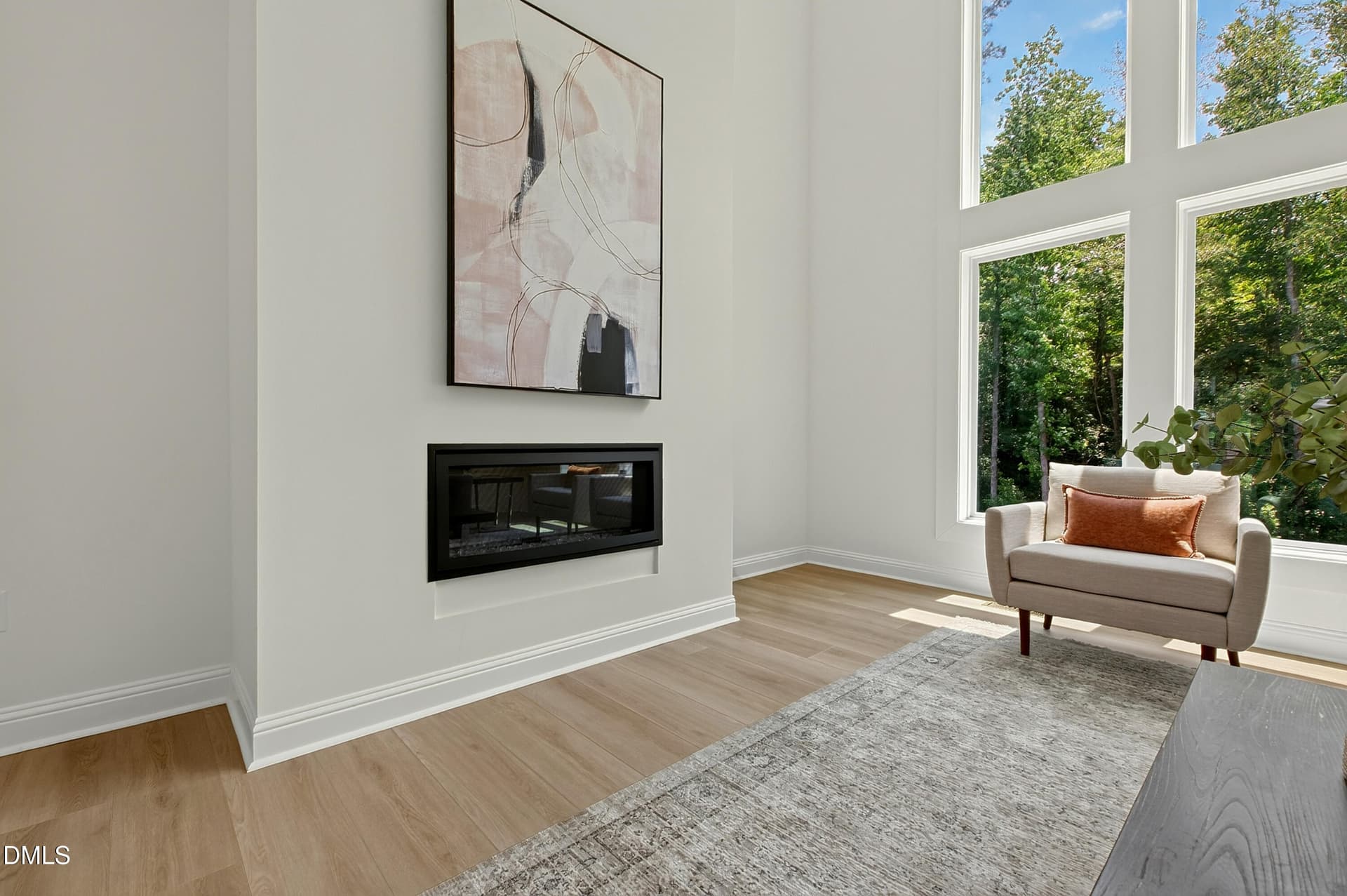 Propane Fireplace - 197 Silverside Drive, Angier, NC 27501