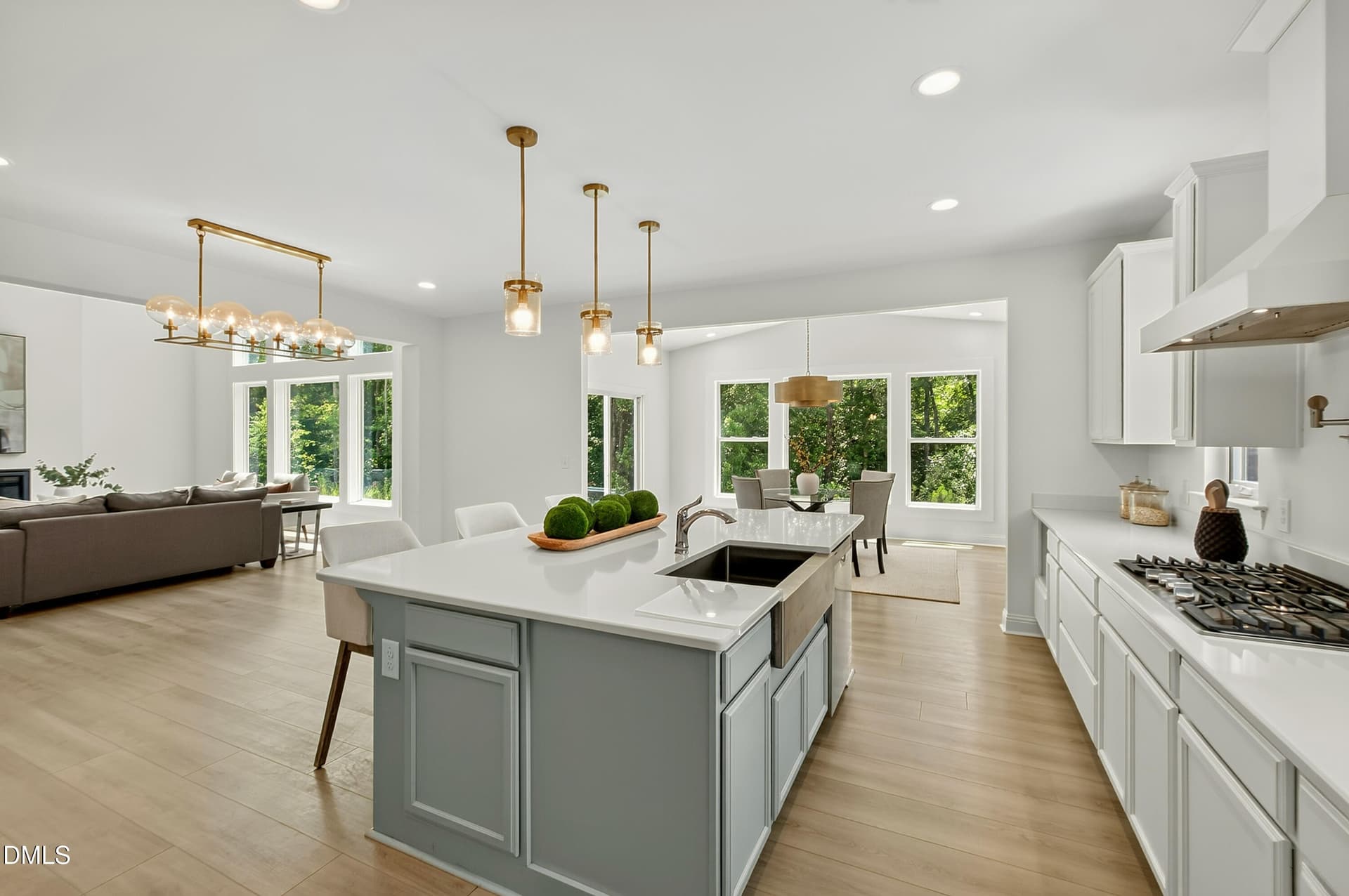 Perfect For Entertaining - 197 Silverside Drive, Angier, NC 27501