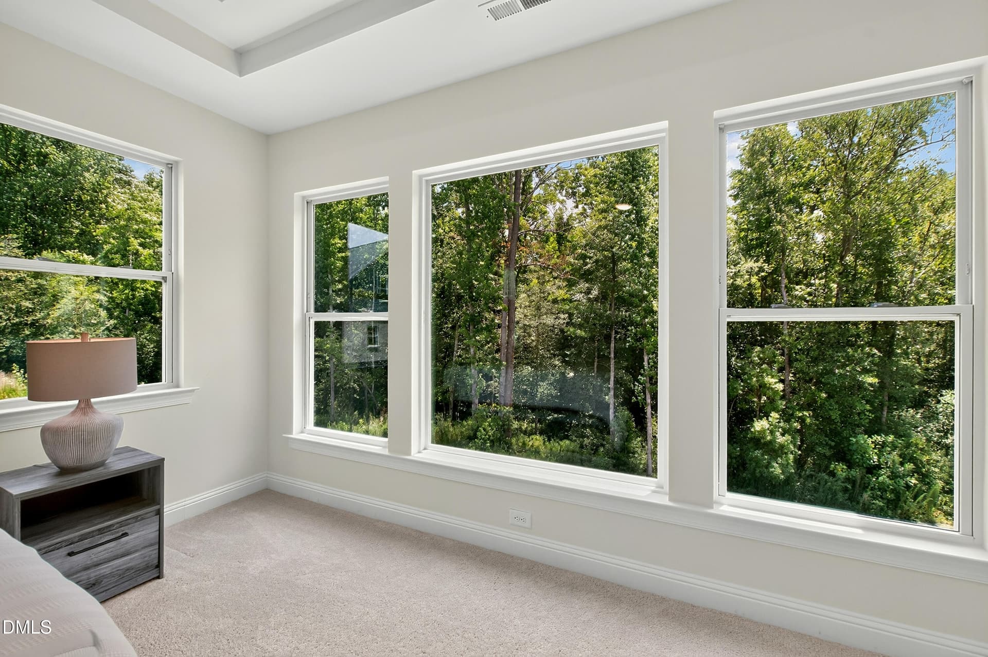 Primary Suite With Privacy - 197 Silverside Drive, Angier, NC 27501