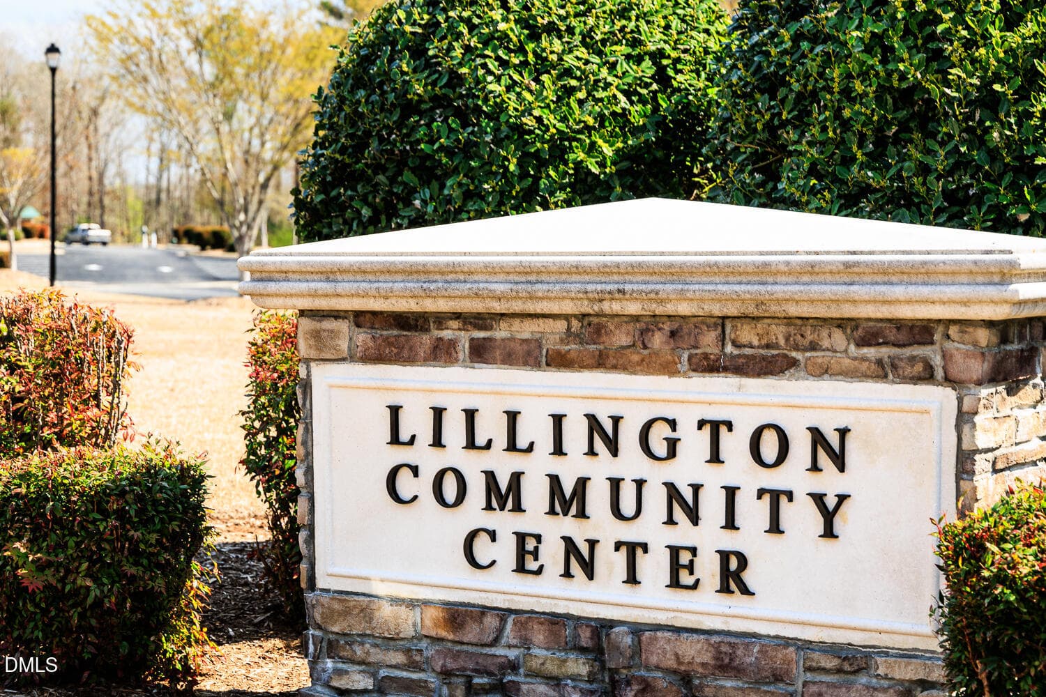 Lillington Community center (1) - 60 Seagrass Landing, Lillington, NC 27546