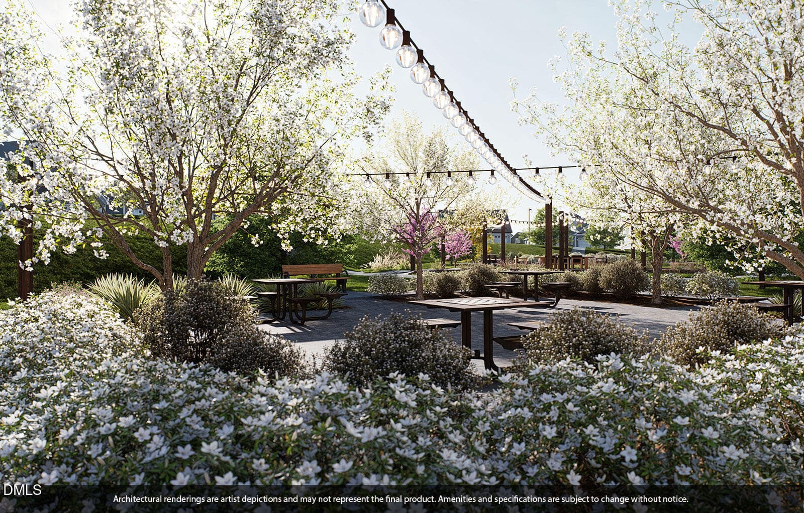Chess Park Day - 3216 Jessamine Street 214, Durham, NC 27703