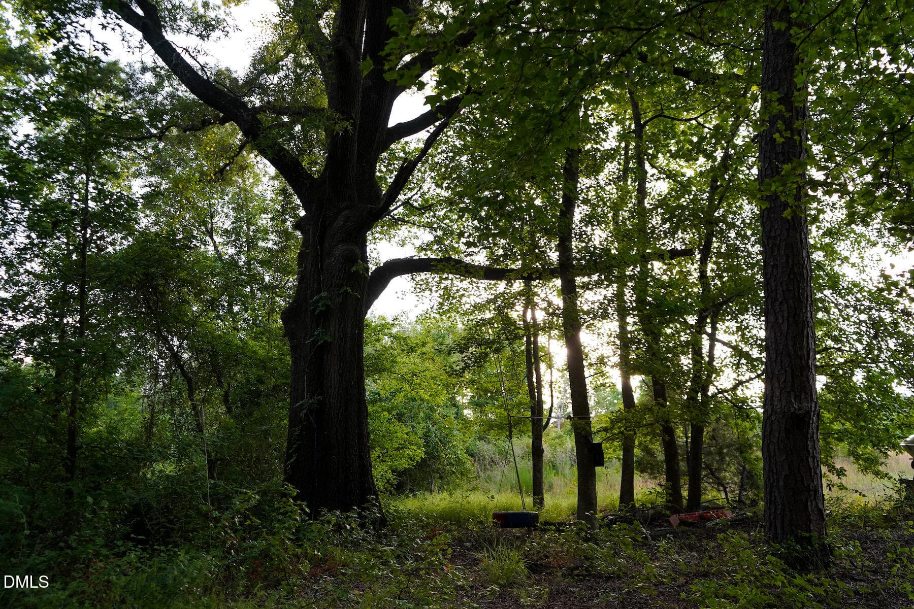 11 Paras 19.3 Acres Bunnlevel Erwin Rd - 19.2 Acres Bunnlevel Erwin Road, Erwin, NC 28339