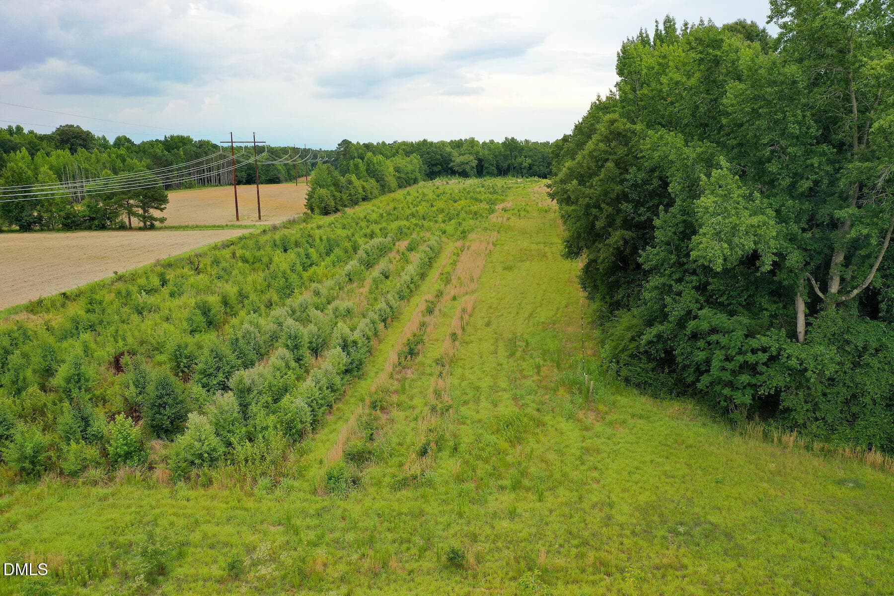 17 Paras 19.3 Acres Bunnlevel Erwin Rd - 19.2 Acres Bunnlevel Erwin Road, Erwin, NC 28339