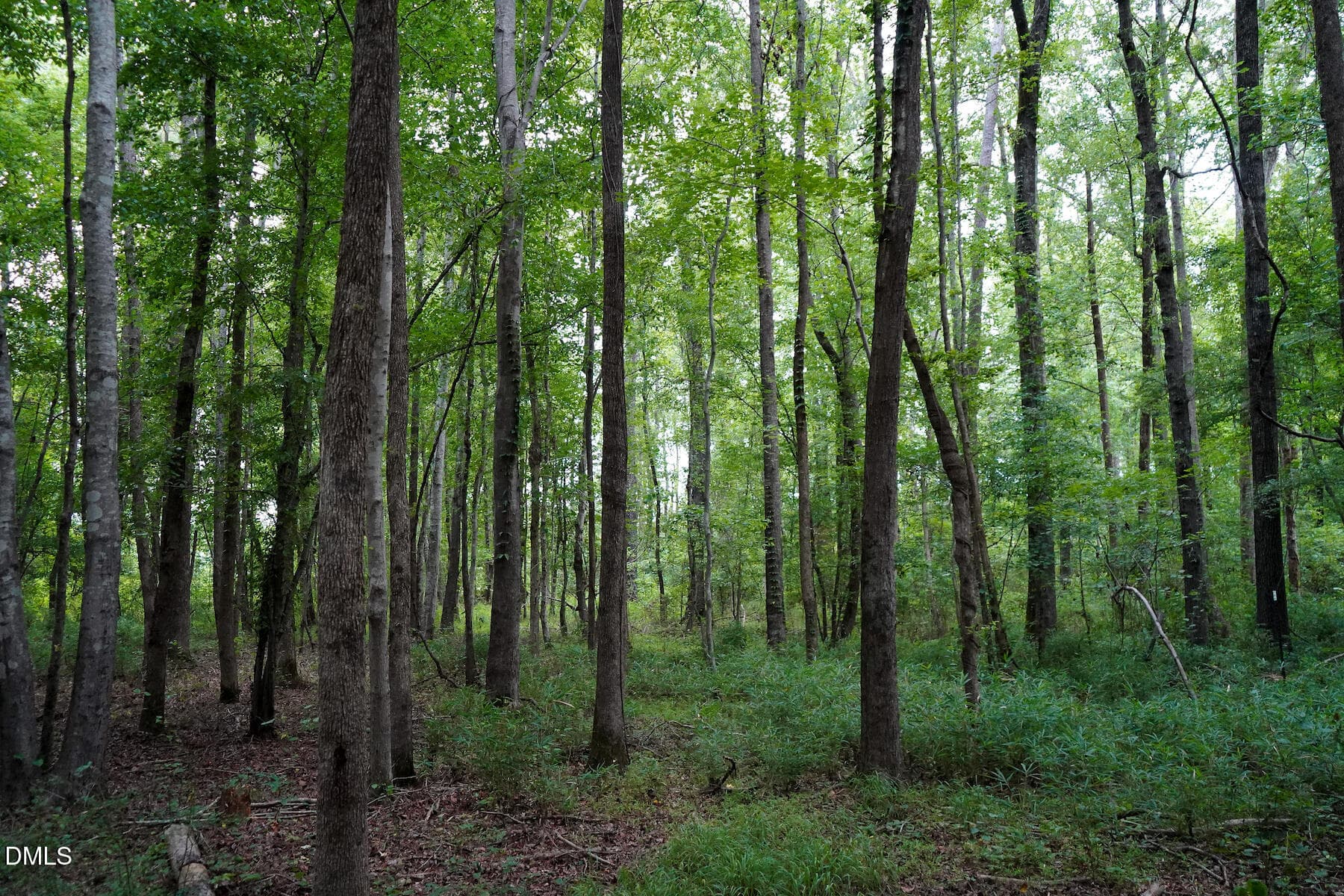 18 Paras 19.3 Acres Bunnlevel Erwin Rd - 19.2 Acres Bunnlevel Erwin Road, Erwin, NC 28339