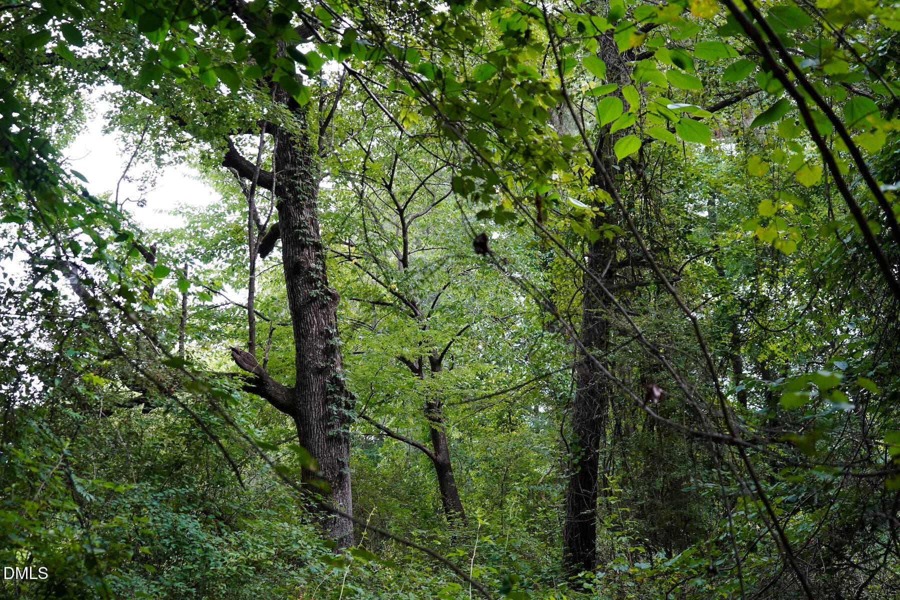 21 Paras 19.3 Acres Bunnlevel Erwin Rd - 19.2 Acres Bunnlevel Erwin Road, Erwin, NC 28339