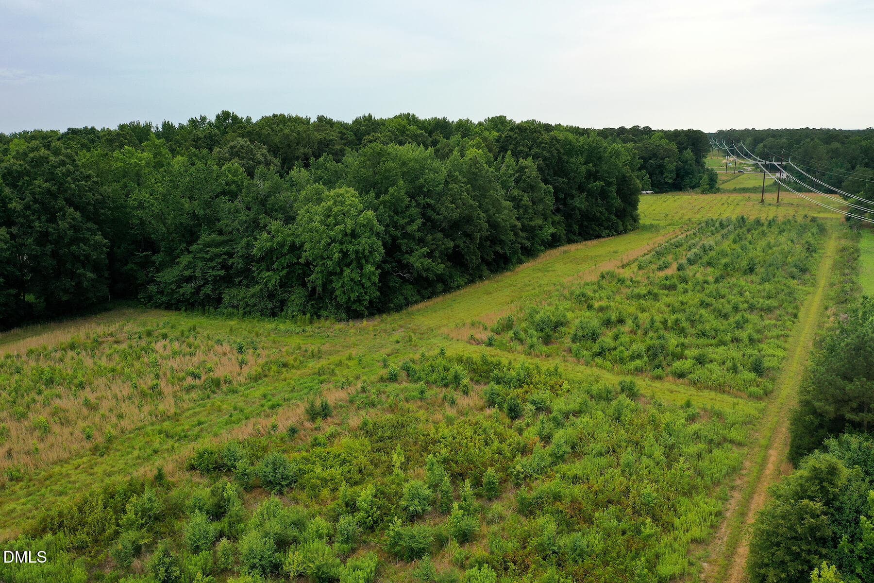 23 Paras 19.3 Acres Bunnlevel Erwin Rd - 19.2 Acres Bunnlevel Erwin Road, Erwin, NC 28339