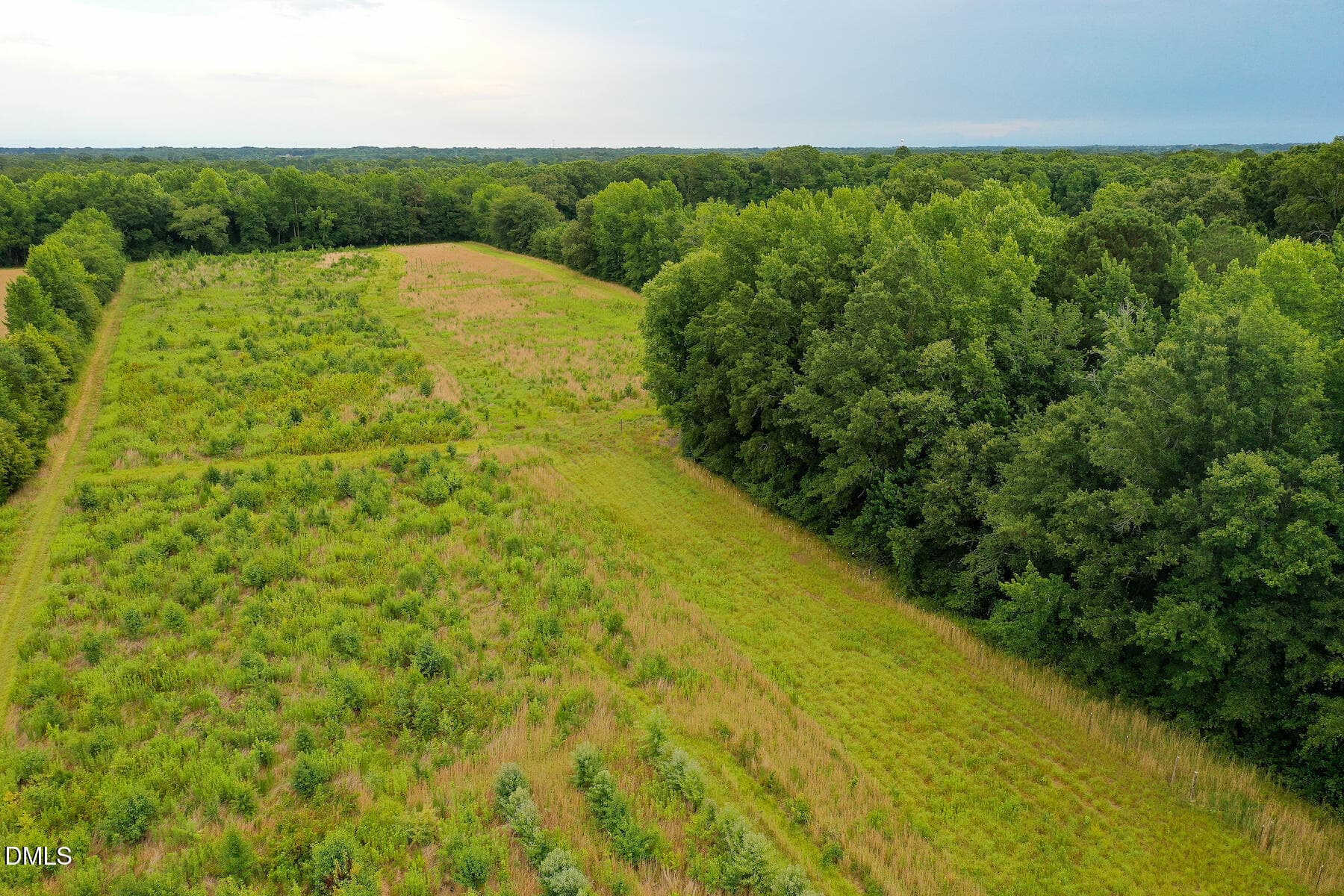 24 Paras 19.3 Acres Bunnlevel Erwin Rd - 19.2 Acres Bunnlevel Erwin Road, Erwin, NC 28339