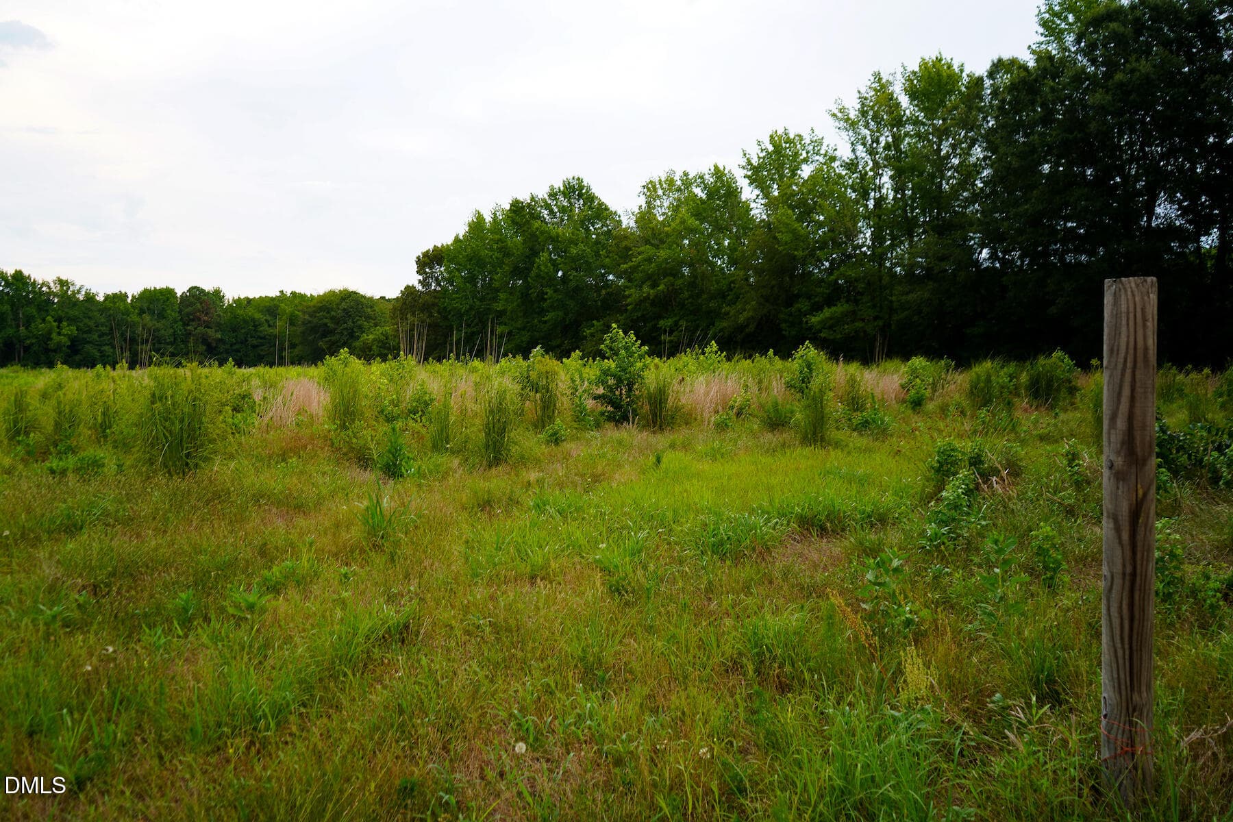 26 Paras 19.3 Acres Bunnlevel Erwin Rd - 19.2 Acres Bunnlevel Erwin Road, Erwin, NC 28339