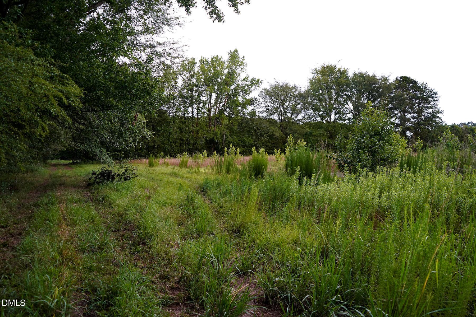 29 Paras 19.3 Acres Bunnlevel Erwin Rd - 19.2 Acres Bunnlevel Erwin Road, Erwin, NC 28339