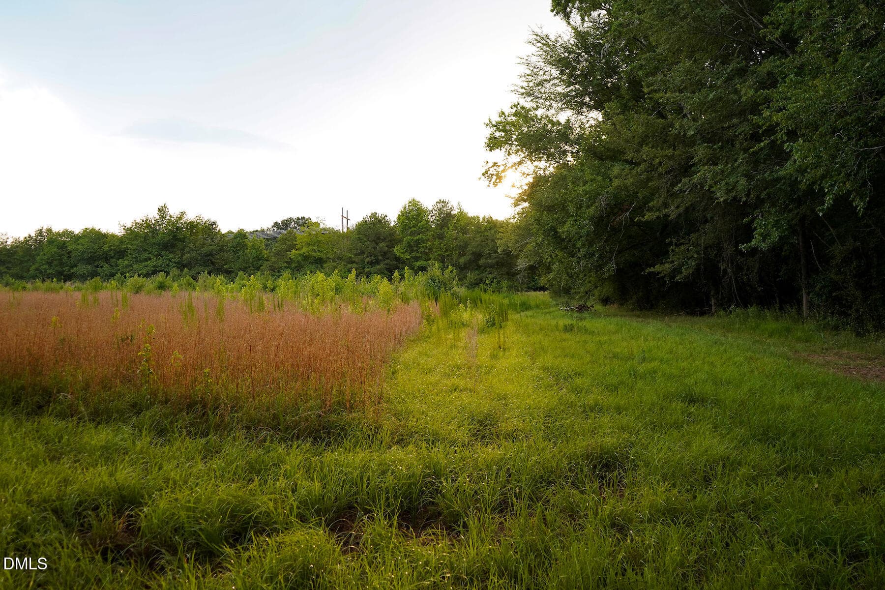 31 Paras 19.3 Acres Bunnlevel Erwin Rd - 19.2 Acres Bunnlevel Erwin Road, Erwin, NC 28339