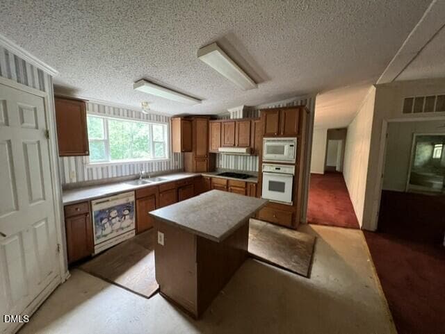 1dfcf74f-866b-44d0-b5bc-e6c0e7e90b01 - 179 S Sunset Drive, Littleton, NC 27850, Littleton