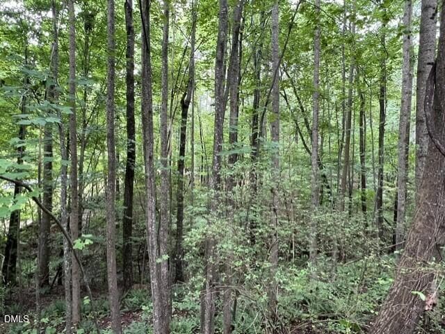 44d87d90-40d7-4907-b119-bb42bc5aa281 - 179 S Sunset Drive, Littleton, NC 27850, Littleton