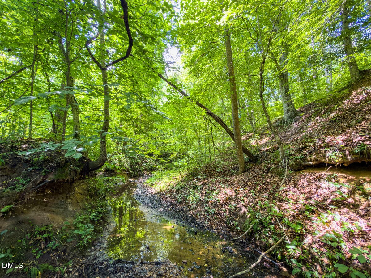 Caswell Co. NC 49.36-COA-Lot3-003 - 0 Park Springs Road, Ruffin, NC 27326
