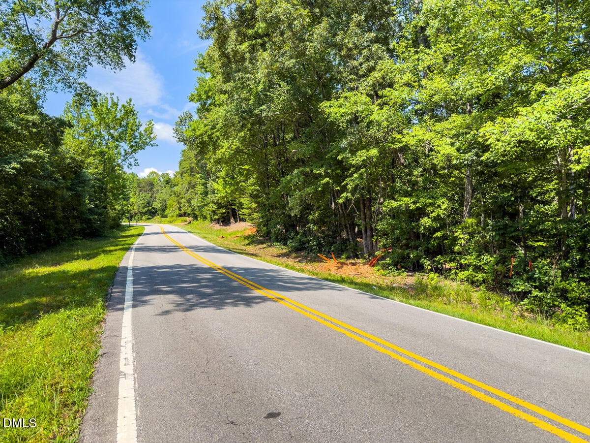 Caswell Co. NC 49.36-COA-Lot3-005 - 0 Park Springs Road, Ruffin, NC 27326