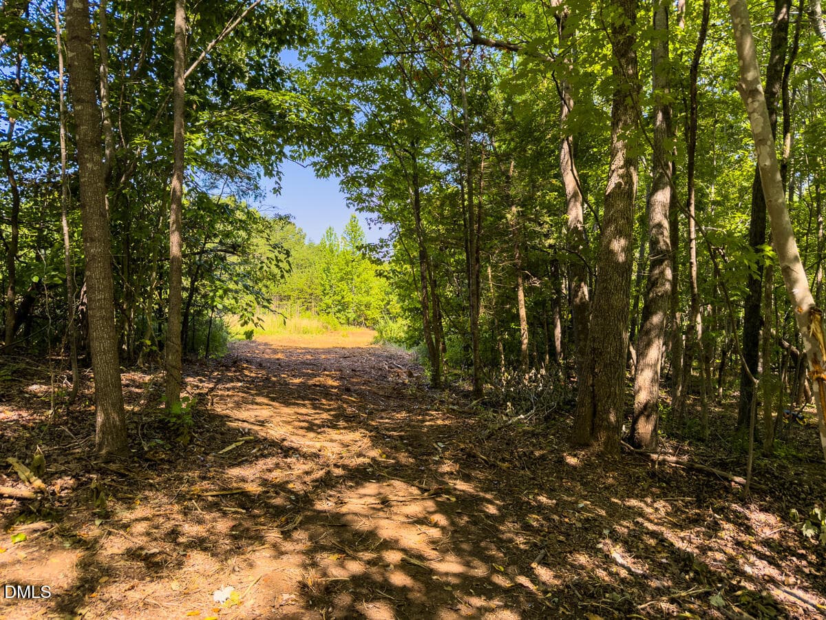 Caswell Co. NC 49.36-COA-Lot3-007 - 0 Park Springs Road, Ruffin, NC 27326