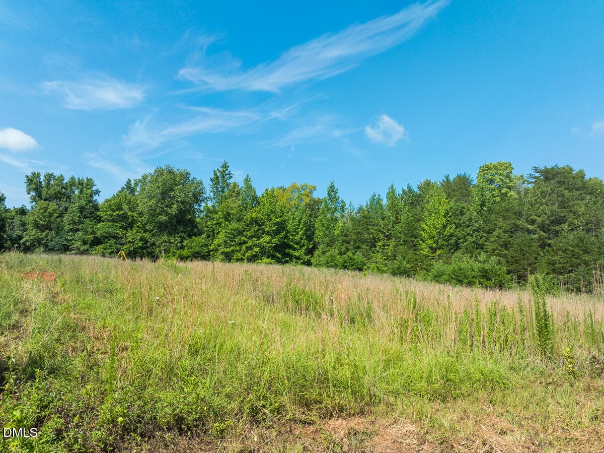 Caswell Co. NC 49.36-COA-Lot3-008 - 0 Park Springs Road, Ruffin, NC 27326