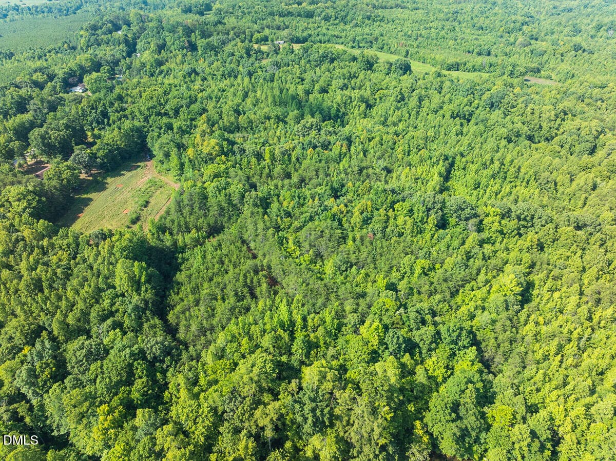 Caswell Co. NC 49.36-COA-Lot3-009 - 0 Park Springs Road, Ruffin, NC 27326