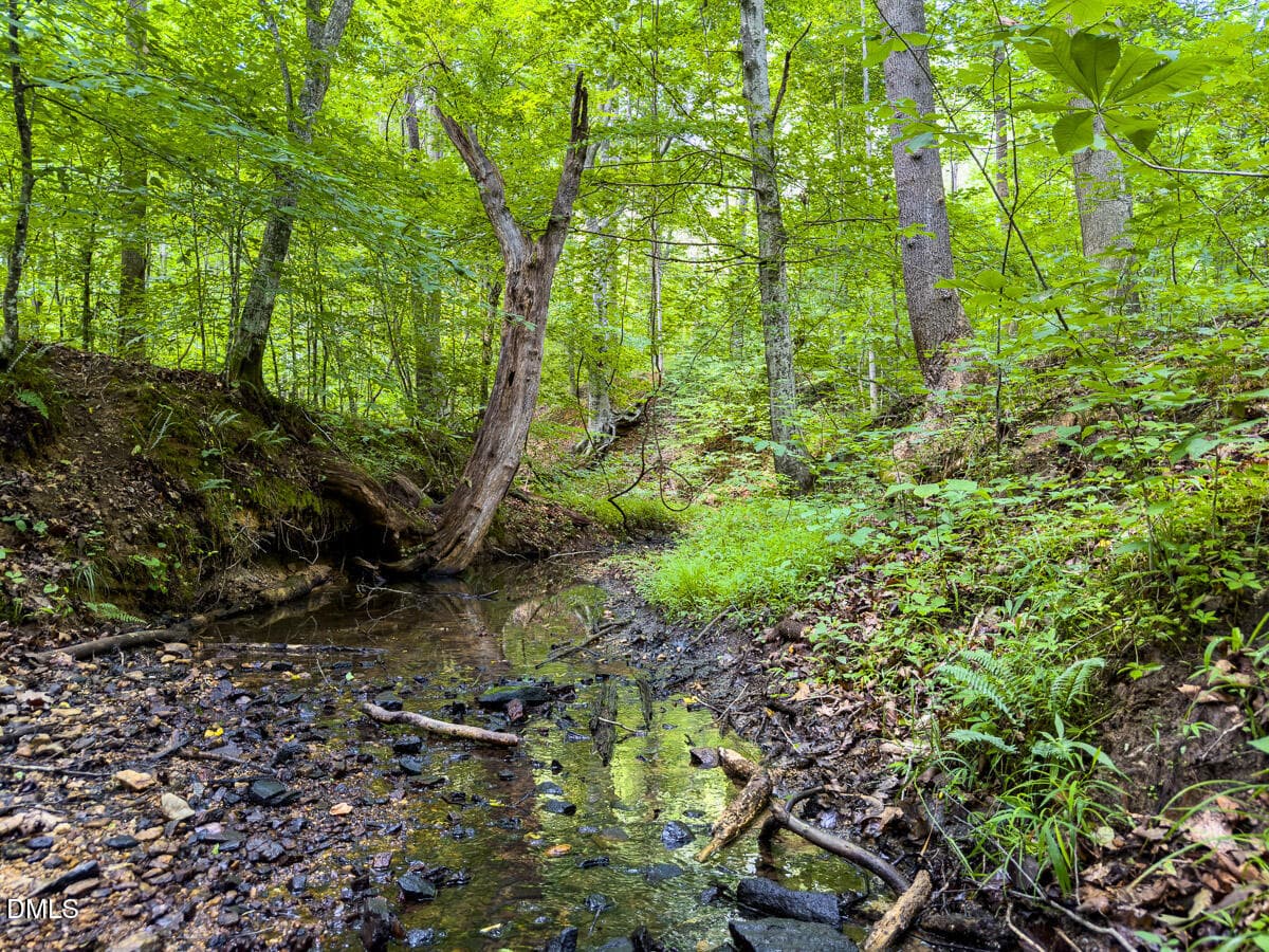 Caswell Co. NC 49.36-COA-Lot3-011 - 0 Park Springs Road, Ruffin, NC 27326