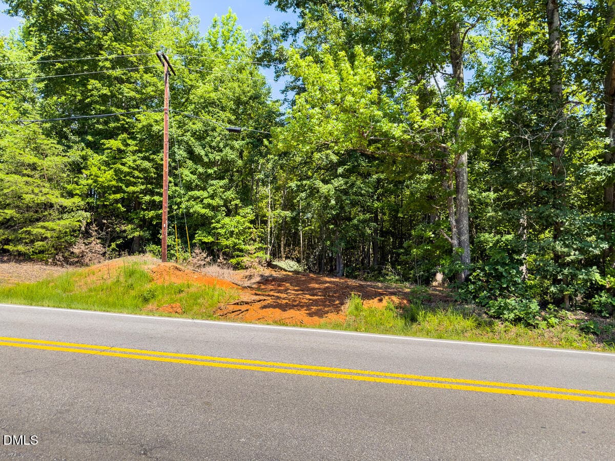 Caswell Co. NC 49.36-COA-Lot3-013 - 0 Park Springs Road, Ruffin, NC 27326