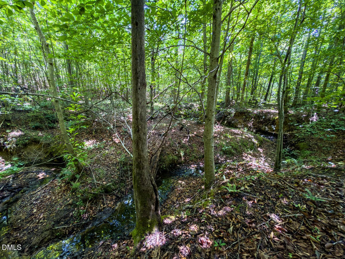 Caswell Co. NC 49.36-COA-Lot3-014 - 0 Park Springs Road, Ruffin, NC 27326