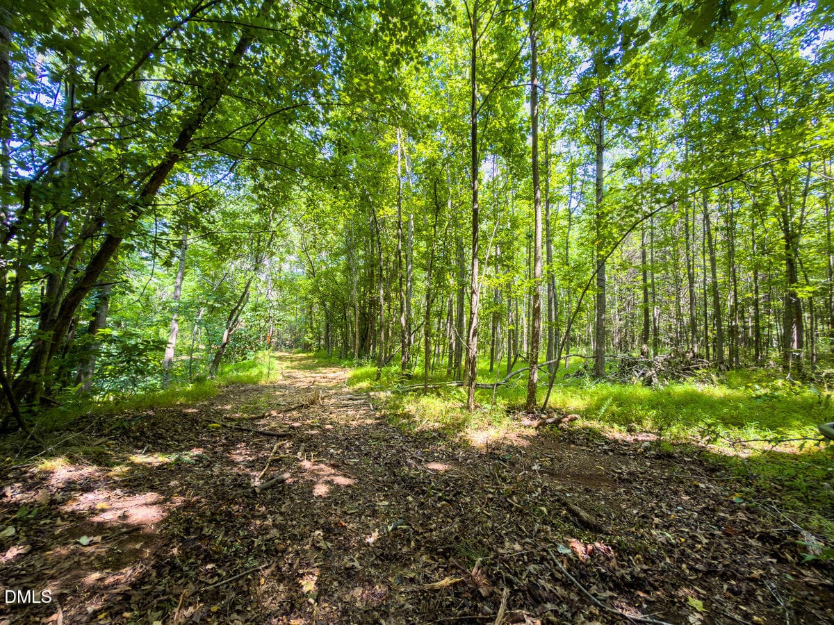 Caswell Co. NC 49.36-COA-Lot3-015 - 0 Park Springs Road, Ruffin, NC 27326