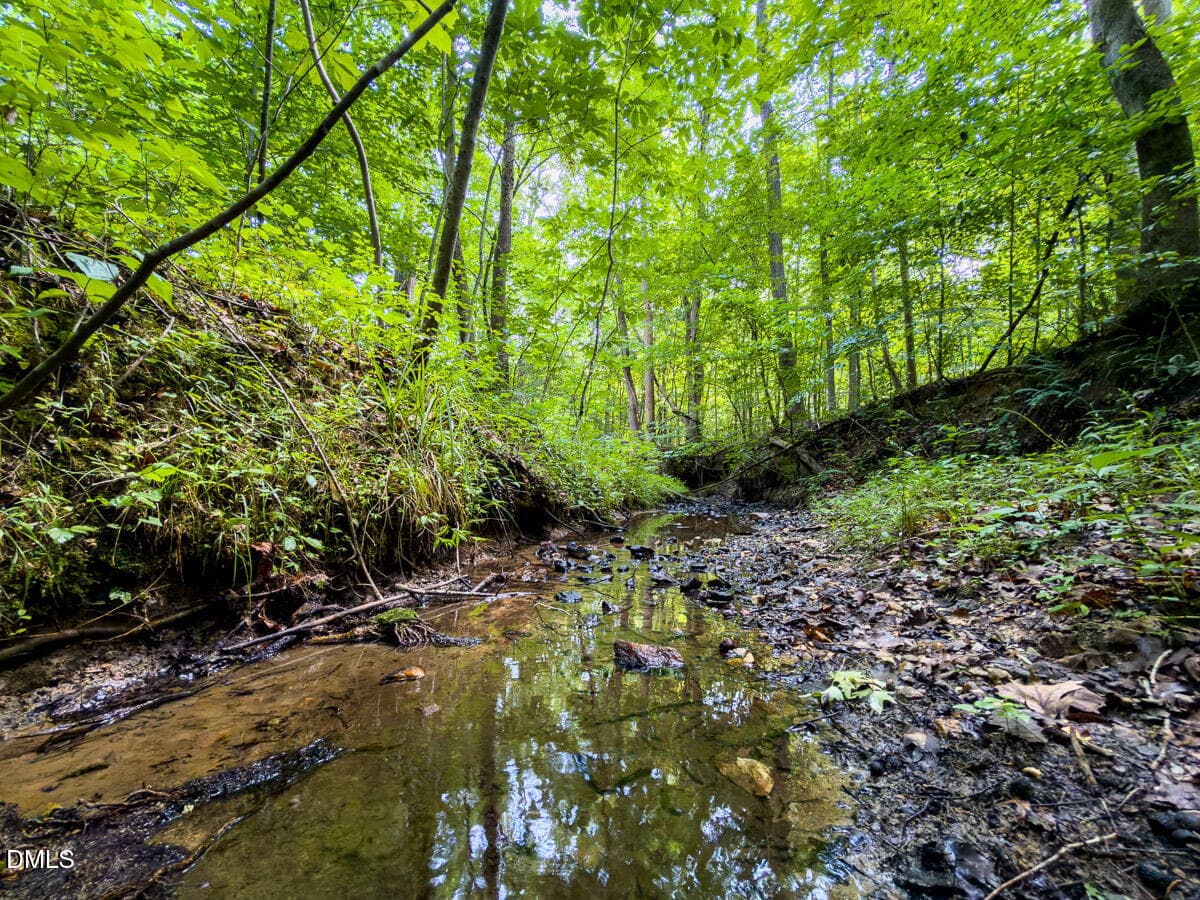Caswell Co. NC 49.36-COA-Lot3-020 - 0 Park Springs Road, Ruffin, NC 27326