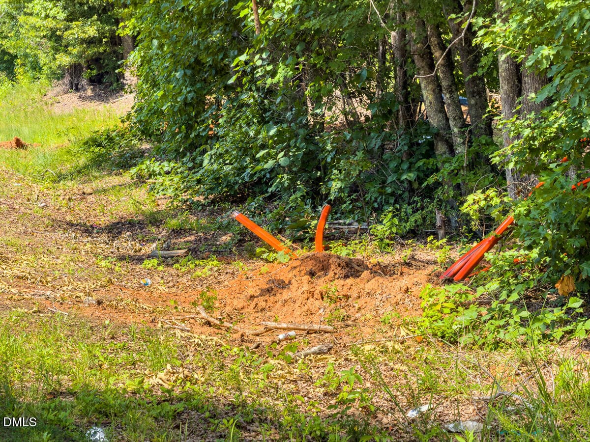 Caswell Co. NC 49.36-COA-Lot3-024 - 0 Park Springs Road, Ruffin, NC 27326