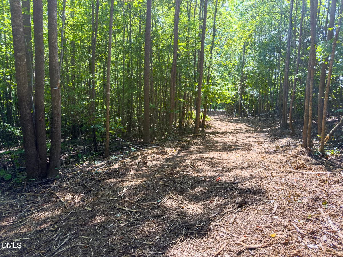Caswell Co. NC 49.36-COA-Lot3-025 - 0 Park Springs Road, Ruffin, NC 27326