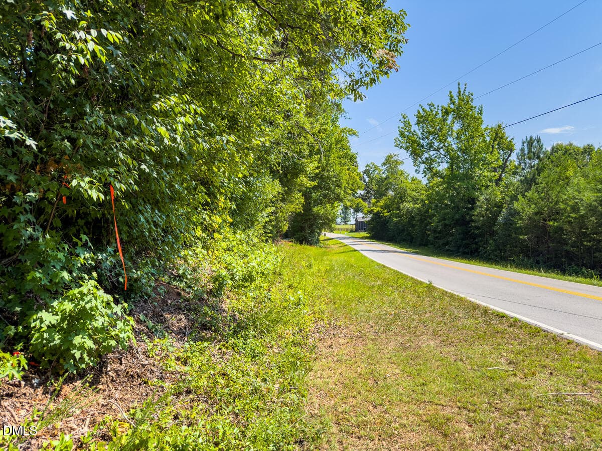 Caswell Co. NC 49.36-COA-Lot3-026 - 0 Park Springs Road, Ruffin, NC 27326