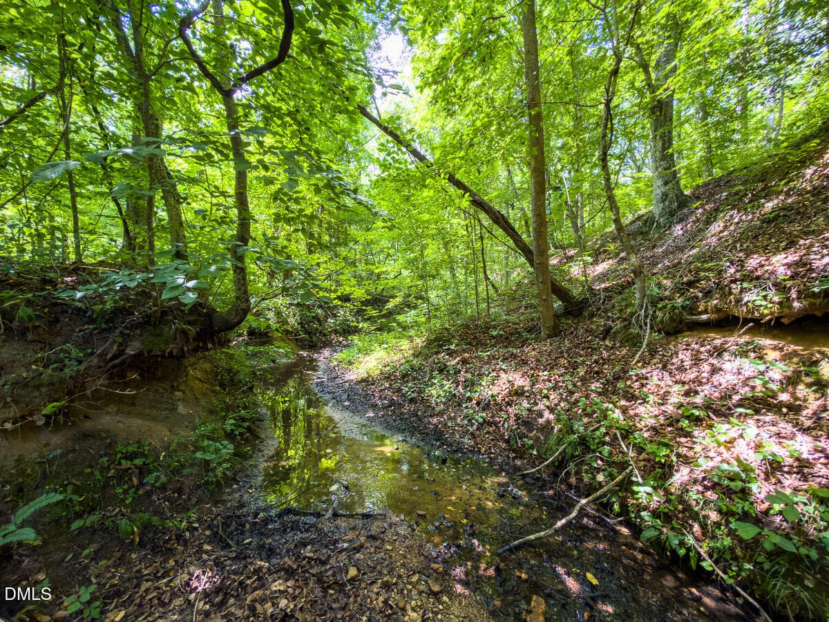 Caswell Co. NC 49.36-COA-Lot3-031 - 0 Park Springs Road, Ruffin, NC 27326