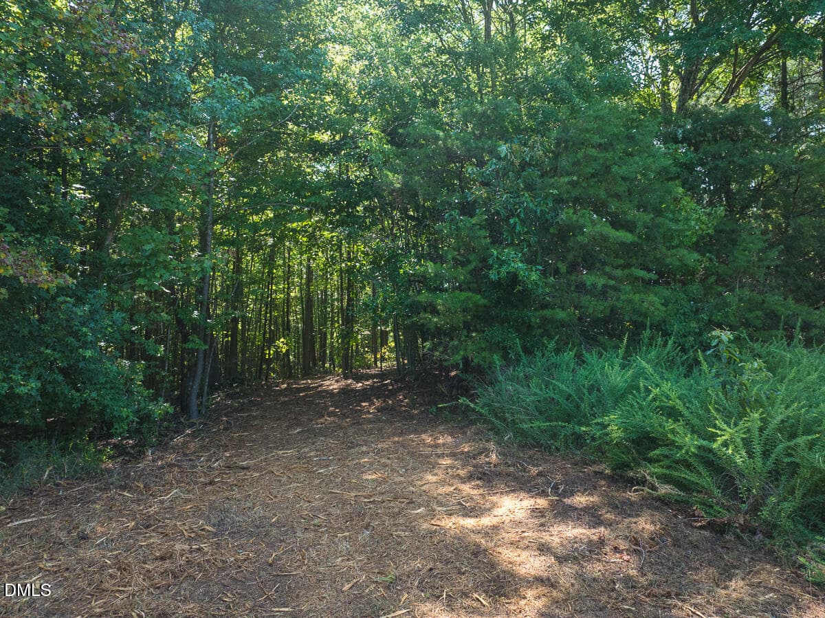 Caswell Co. NC 49.36-COA-Lot3-032 - 0 Park Springs Road, Ruffin, NC 27326