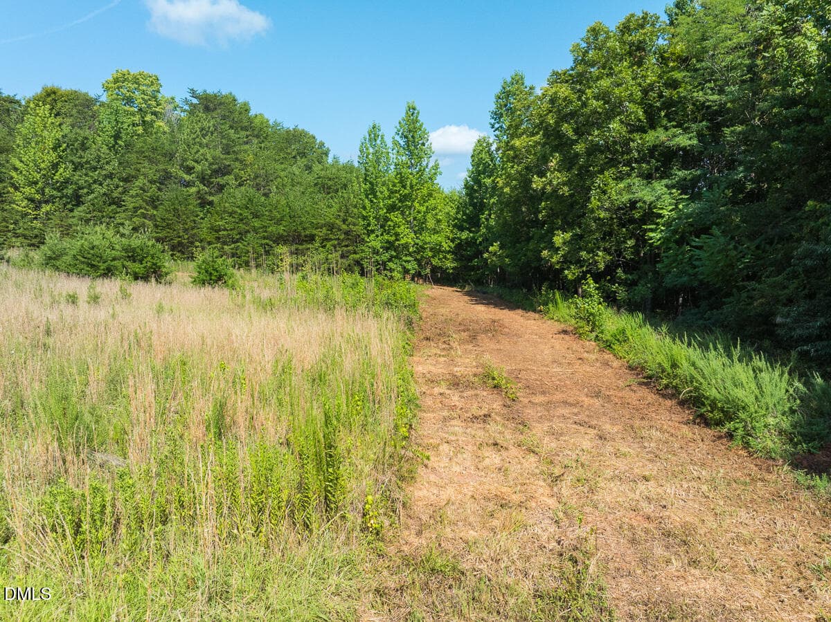 Caswell Co. NC 49.36-COA-Lot3-033 - 0 Park Springs Road, Ruffin, NC 27326