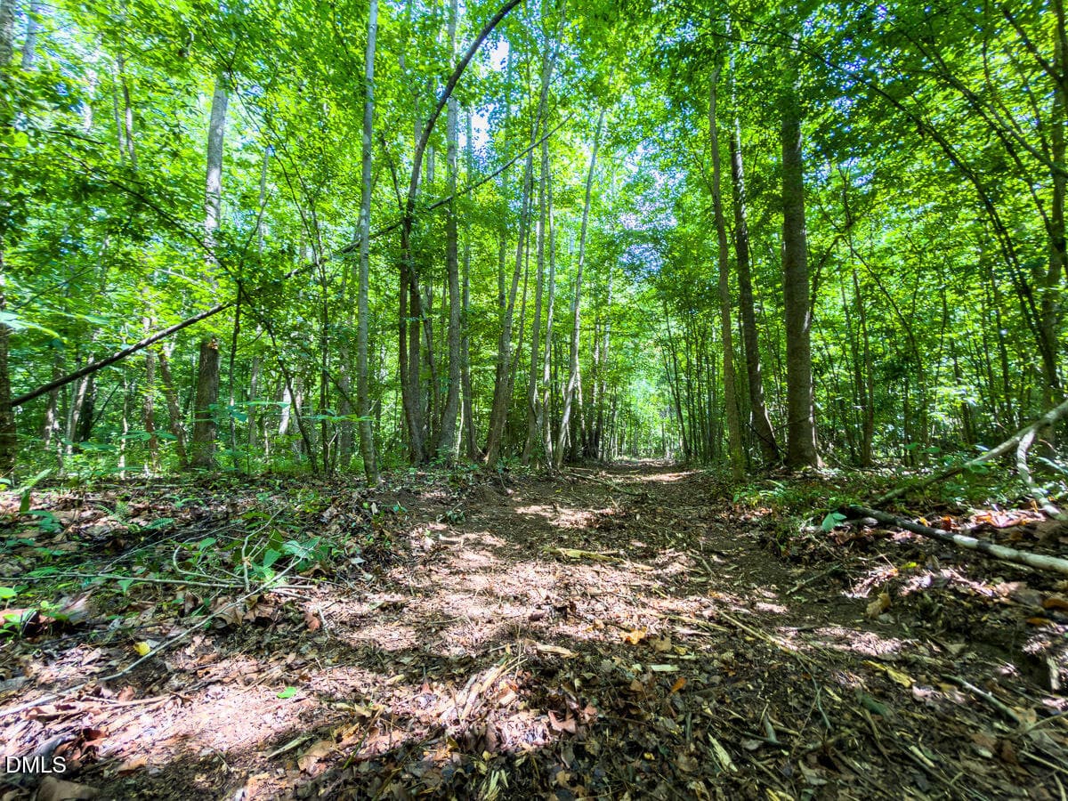 Caswell Co. NC 49.36-COA-Lot3-035 - 0 Park Springs Road, Ruffin, NC 27326