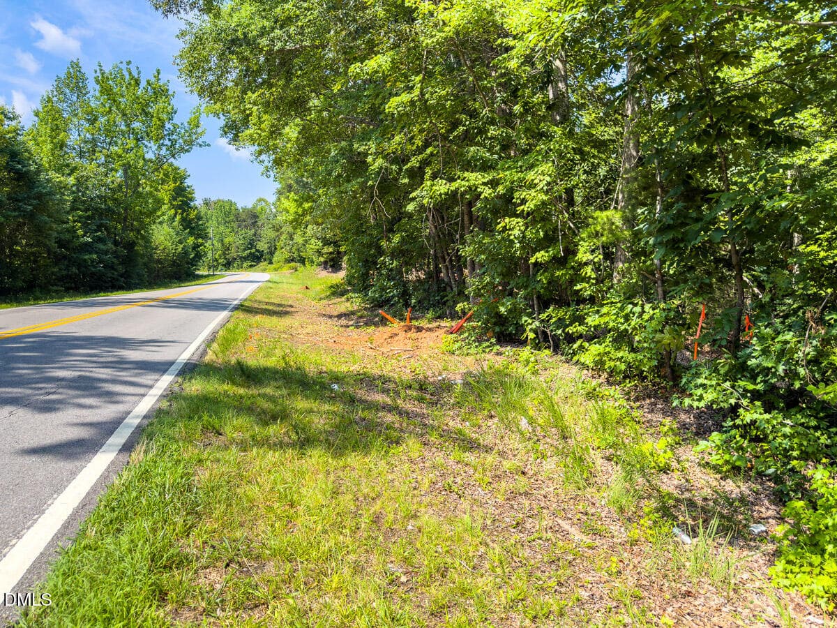 Caswell Co. NC 49.36-COA-Lot3-036 - 0 Park Springs Road, Ruffin, NC 27326
